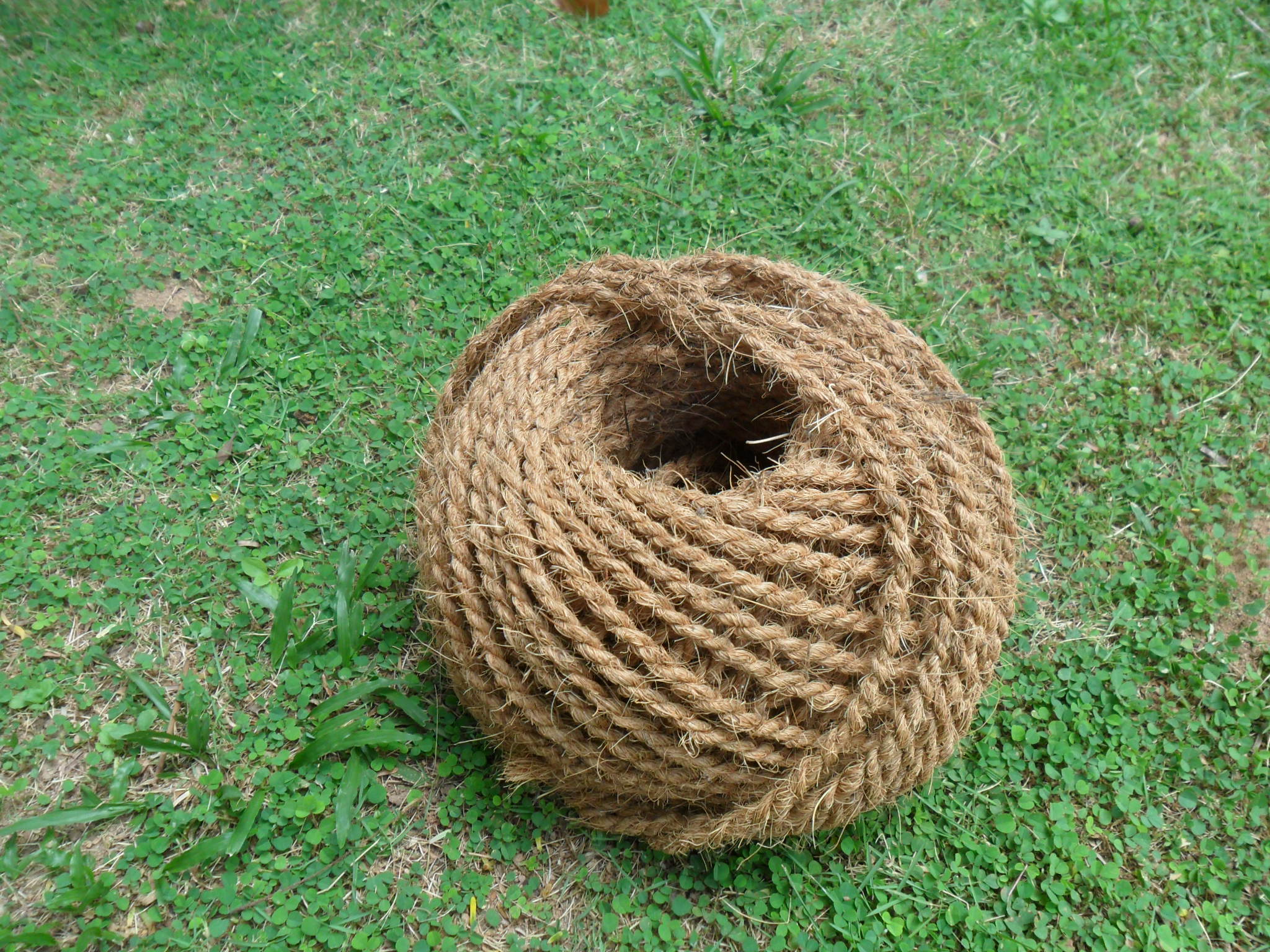 Coir Ropes are strong, biodegradable ropes made from natural coconut coir fibre, valued for their excellent tensile strength, durability, and resistance to moisture and saltwater. These properties make them suitable for both indoor and outdoor use, including coastal and marine environments. In agriculture and horticulture, coir ropes are widely used for trellising and training climbing crops such as tomatoes, beans, cucumbers, gourds, and vines. They are also used for tying plants and saplings, supporting banana and pepper plants, vineyard training, greenhouse crop support systems, and staking young trees. Their rough texture allows plants to grip naturally, reducing damage and promoting healthy, upright growth. Beyond agriculture, coir ropes are commonly used in landscaping, construction, packaging, crafting, home décor, swings, and various industrial applications. Eco-friendly and chemical-free, they provide a sustainable alternative to synthetic ropes. Coir ropes are available in diameters ranging from 4 mm to 12 mm, offering flexibility for light-duty to heavy-duty applications while supporting environmentally responsible farming and land management practices.